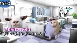 【เนื้อสด】กิจวัตรประจำวันของโรคย้ำคิดย้ำทำ | มีมแมว