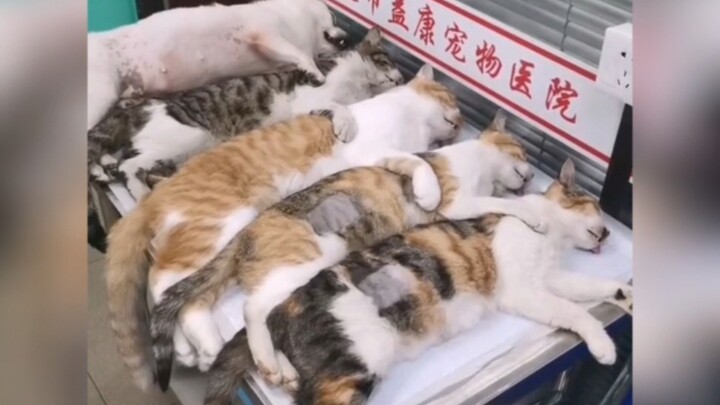 Aku sih, paling benci ke rumah sakit!