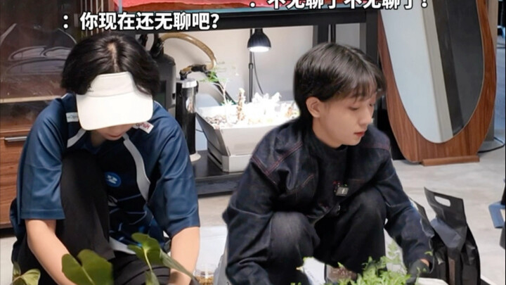 Tumbuhan-tumbuhan yang tampak ganas itu benar-benar bikin gue sebel banget lihatnya!