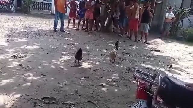 panalo si hiraw kasu Patay din