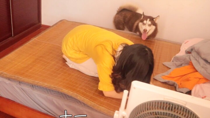 How does the crazy old lady tease the silly Husky?