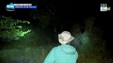 Law of the Jungle in New Caledonia [7] ENG SUB