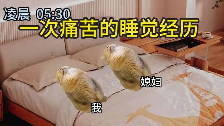【Meme kucing】Pengalaman tidur yang menyakitkan