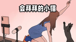 黑猫：不是说拜拜就有好吃的吗...?