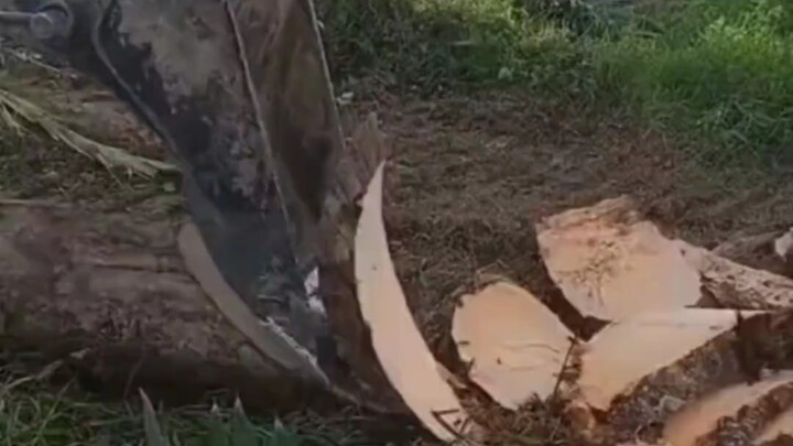 Chopping wood feels like slicing through mud—so satisfying!!!