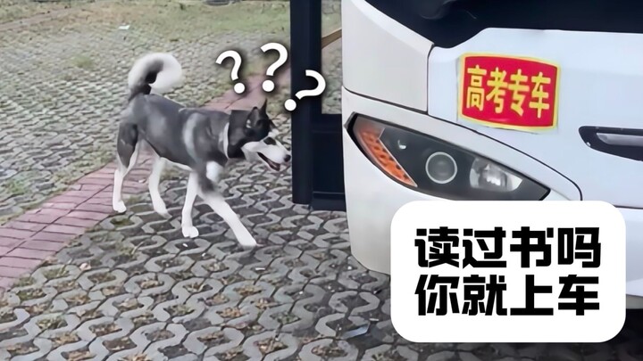 “Đại hội hành vi kỳ lạ của động vật 311”