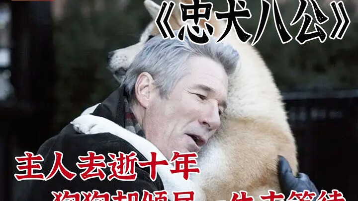 A lifetime of waiting, all for just one person. Even humans can’t always stay true to one partner, y