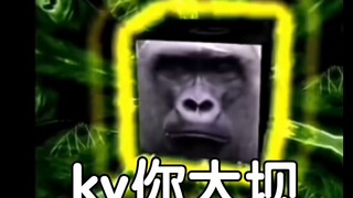 我对某些魔圆小鬼的评价