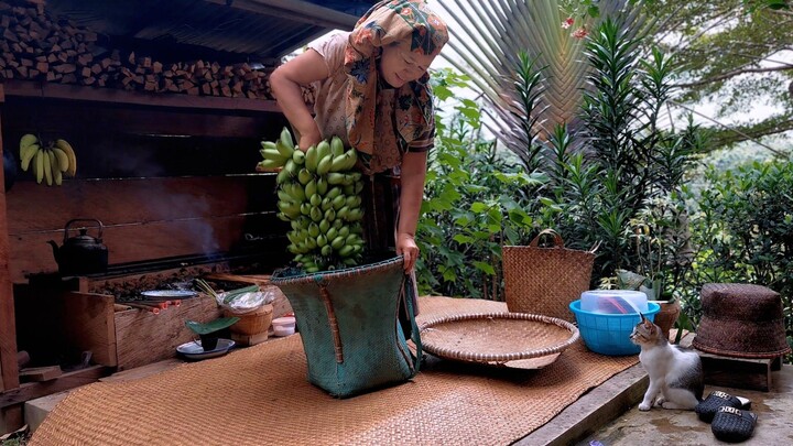 Traditional Dayak Cooking in the Borneo Rainforest | Authentic Jungle Food