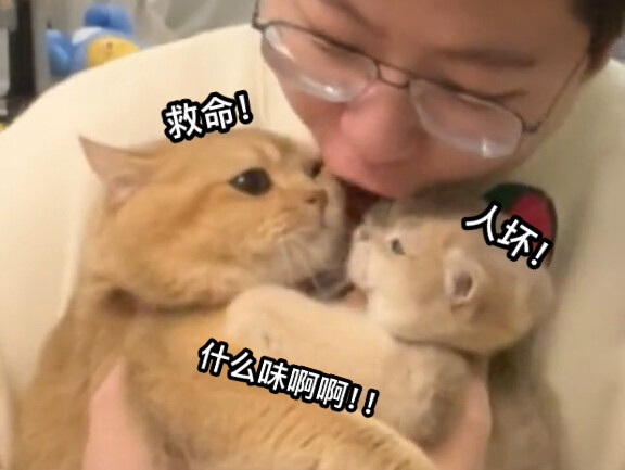 ขำตาย! กินบะหมี่หอยทากแล้วไปหอมแมวน้อยจะเกิดอะไรขึ้น