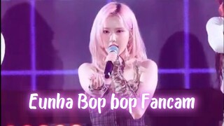 Bop bop Eunha Fancam