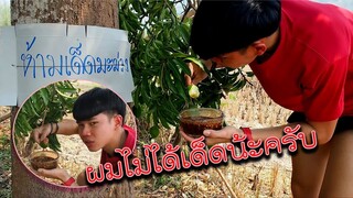 ห้ามเด็ดมะม่วง"ผมก็ไม่ได้เด็ดน้ะครับ"