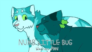 Numb Little Bug - A 24 hour Hollyleaf and Fallen Leaves Warriors PMV