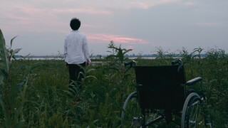 父亲总喜欢用手机拍电视