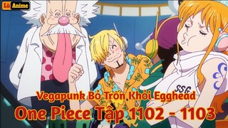 [Lù Rì Viu] One Piece Tập 1102 - 1103 Vegabunk Bỏ Trốn Khỉ Vàng Đã Tới  ||Review one piece anime