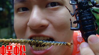 Centipedes and big black scorpions are really edible! Don't eat them if they are particularly bitter