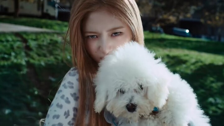A smart, white dog whose mind is perfectly in sync with Naoi Rei.
