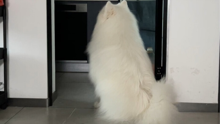 ฉันขี้กิน แต่ฉันน่ารักนะ!