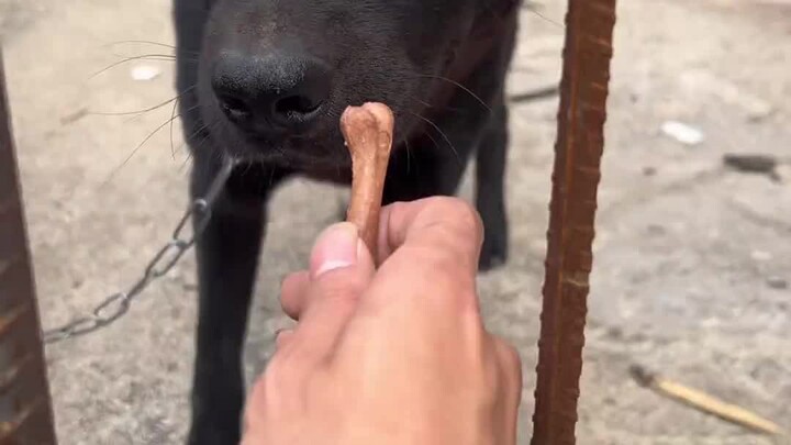 Phần vòng khép kín hoàn hảo này