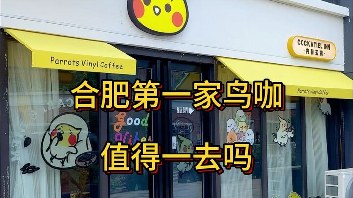 Apakah kedai kopi burung pertama di Hefei layak dikunjungi?