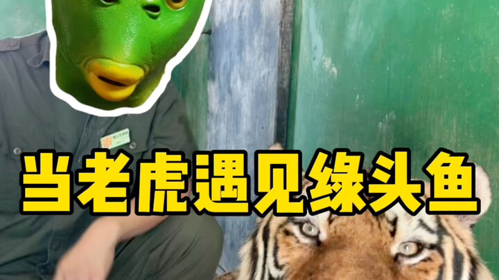 Kalau aku sudah tua, sepertinya mereka harus mencabut selang-selangku.