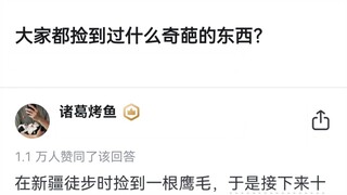 大家都捡到过什么奇葩的东西？