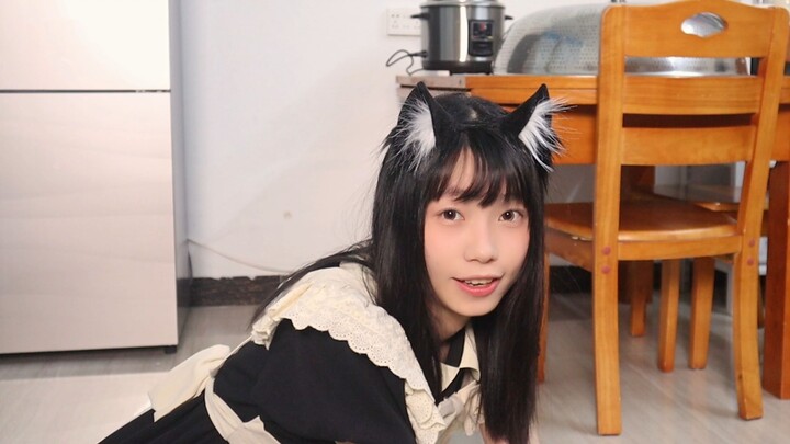 Staying at home too long, I've grown cat-like—this black cat can dance!