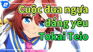 [Cuộc đua ngựa đáng yêu /MAD] Sau đó, hãy để phép màu xảy ra--- Tokai Teio_2