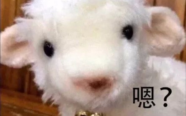 拍到一只找妈妈的小羊