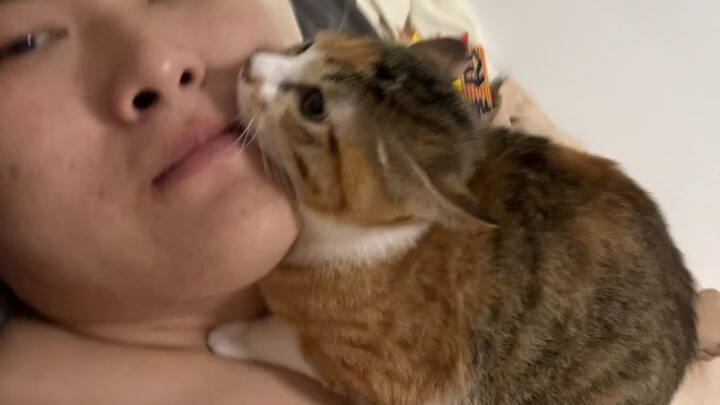根本睡不了觉
