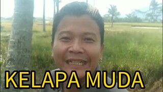 NGAMBIL KELAPA MUDA