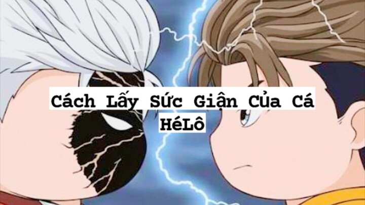 Câu Cá Vạn Cân - Cách Kiếm Sức Giận Của Cá HéLô