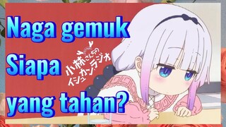 [Miss Kobayashi's Dragon Maid] Kompilasi |Naga gemuk Siapa yang tahan?