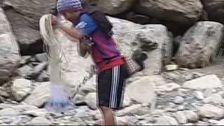 cast net fishing in Nepal | himalayan trout fishing | fishing asala |