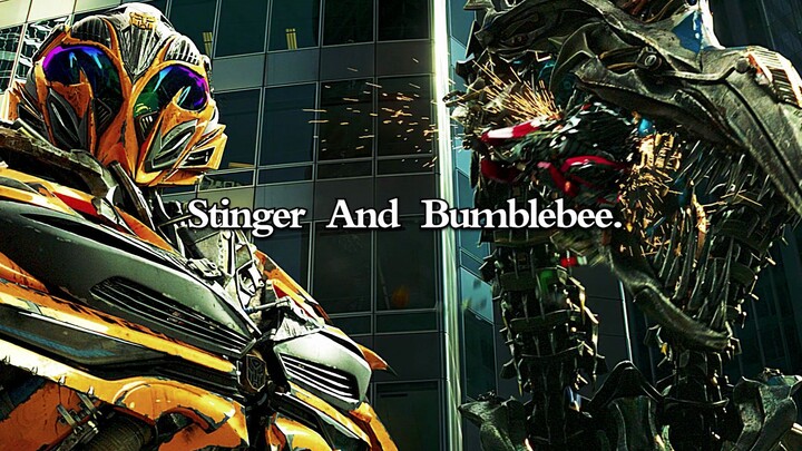 Bumblebee: Are you just like this or are you imitating me?
