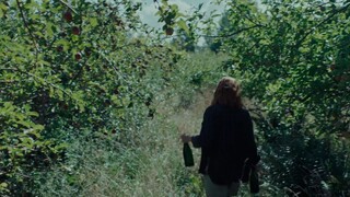 The Venus Effect (2021)