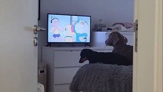 孩子大了不好管了，不让看动画片，居然还学会甩脸子顶嘴了！