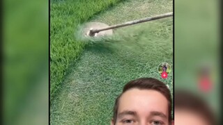 纯 素 食 晚 餐