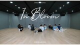 ZEROBASEONE The 1st Mini Album[𝐘𝐎𝐔𝐓𝐇 𝐈𝐍 𝐓𝐇𝐄 𝐒𝐇𝐀𝐃𝐄]'In Bloom' Dance Practice (Fix ver.