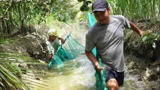Canh chua tép rong, cá nhỏ kho tiêu - Bin Đen Miền Tây # 218