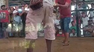 dumayo sa quirino prov. single fight win