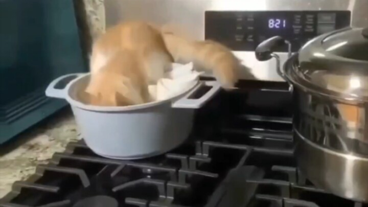 Oh my gosh, I’m just going to stew myself today!