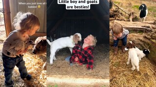 小羊羔：都是宝宝，能处！