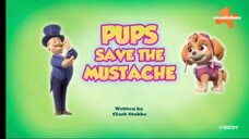 paw patrol Musim 8 episode 5 dan 6 Bahasa indonesia