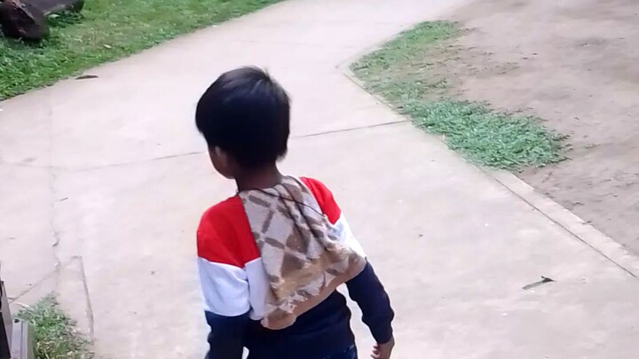 pigeon play with my kids😁