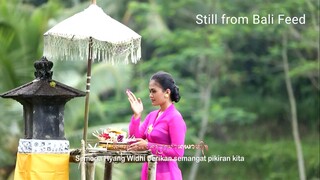 RTV HD (2025-07-24 10.58.23)