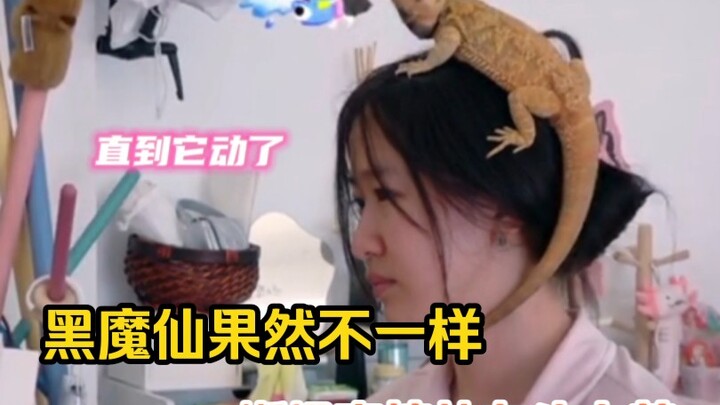 The Black Sorceress’s pet is truly one of a kind—she even keeps a lizard perched right on her head.
