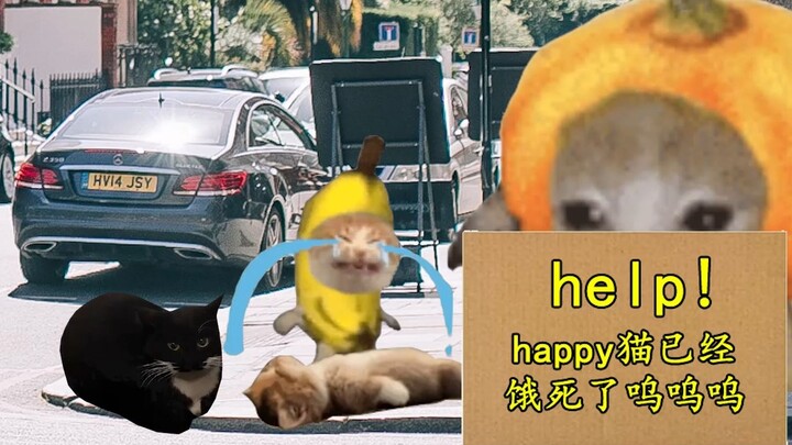 Mèo mập hôm nay bị lạc trên phố, mèo chuối đang ngồi xin ăn trực tuyến...