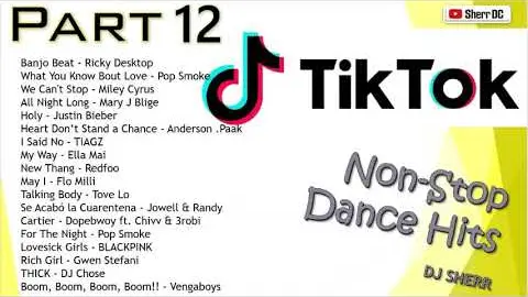 TikTok Non-Stop Dance Hits Part 12 ~ DJ Sherr