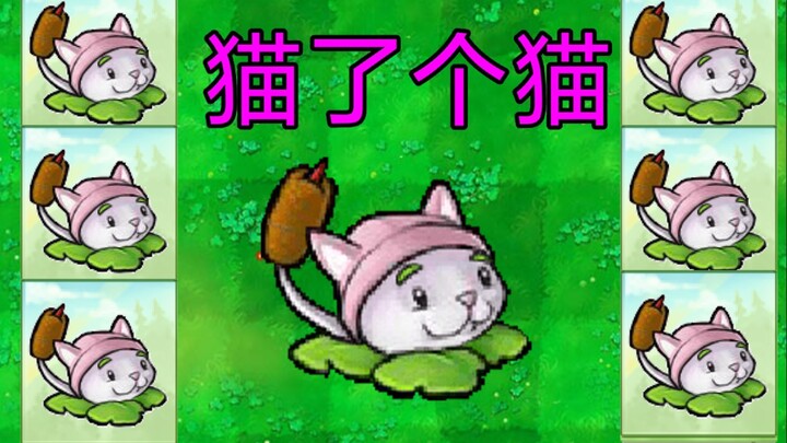 Come and try this real "Cat Game"!